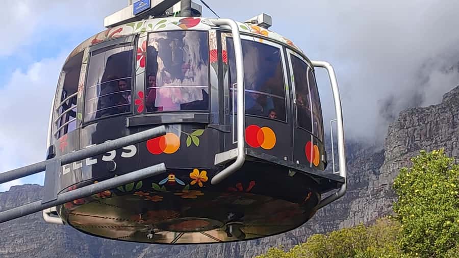 Cape Town: Table Mountain,Cape Point & Penguins Private Tour - Price and Value: What $125 Covers, and What You Pay Separately