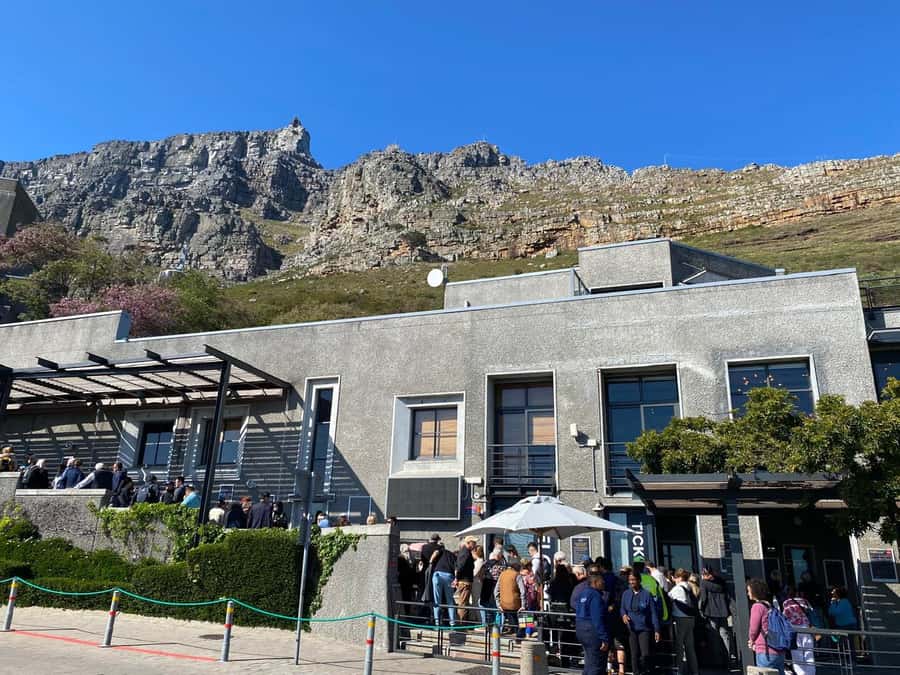 Cape Town: Table Mountain Half-Day Tour with Cable Car Ride - Why this Table Mountain half-day tour works so well