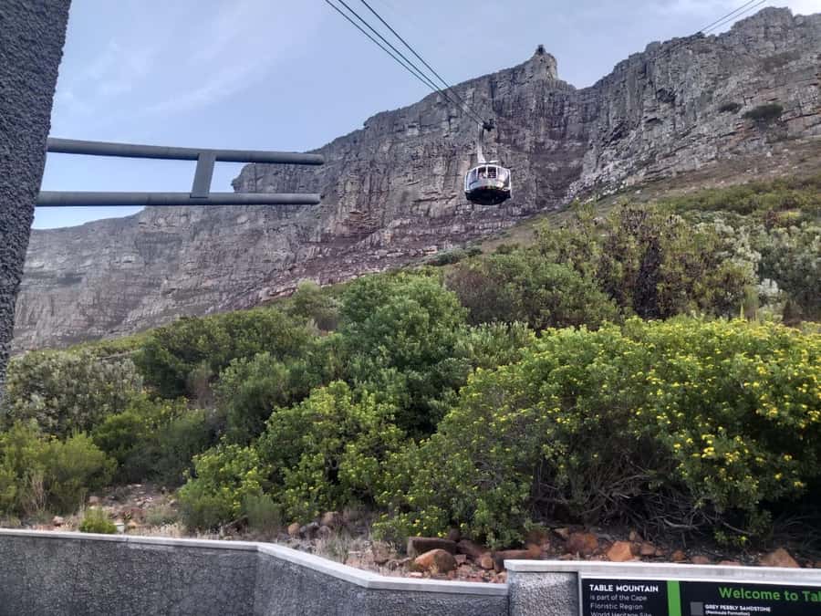 Cape Town: Table Mountain Half-Day Tour with Cable Car Ride - Weather can change everything, so plan like a local