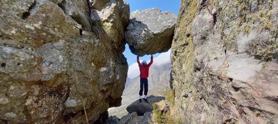 Cape Town: Table Mountain Hike via India Venster Morning - Fynbos and local history: why the guide matters