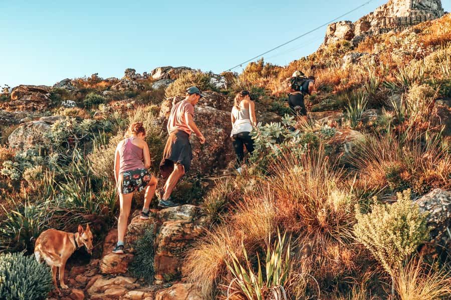 Cape Town: Table Mountain Hike via India Venster - Meeting Point: Where the Trail Starts and What Time Matters