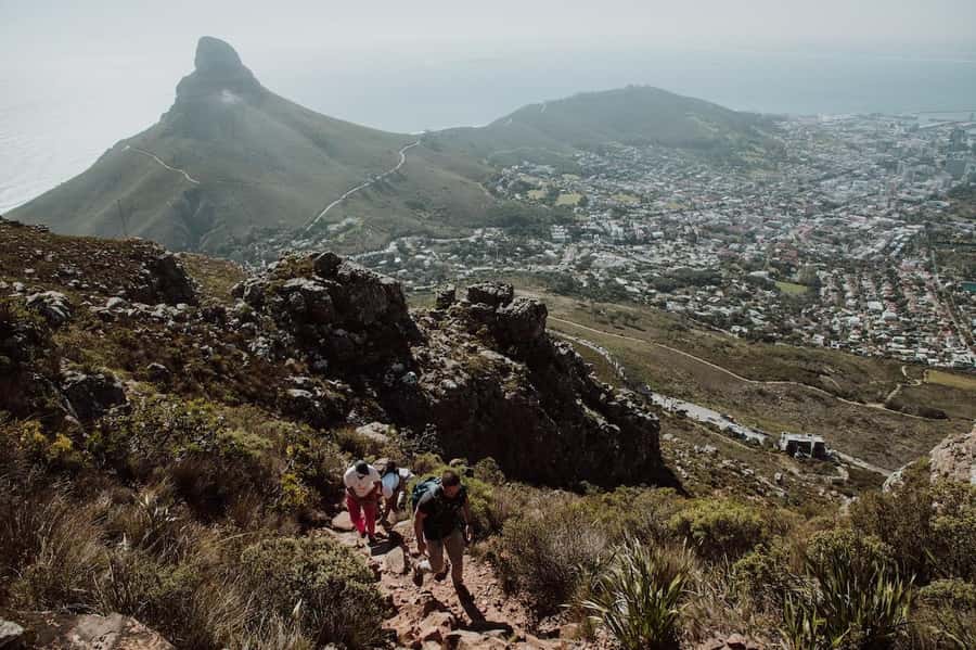Cape Town: Table Mountain Hike with an Experienced Guide - Choosing Your Upward Route on Table Mountain or Lion’s Head