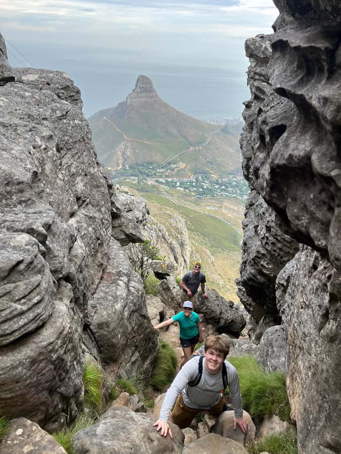 Cape Town: Table Mountain Hike with an Experienced Guide - Up the Mountain: Fynbos Stories, Plants, and a 600-Million-Year Timeline