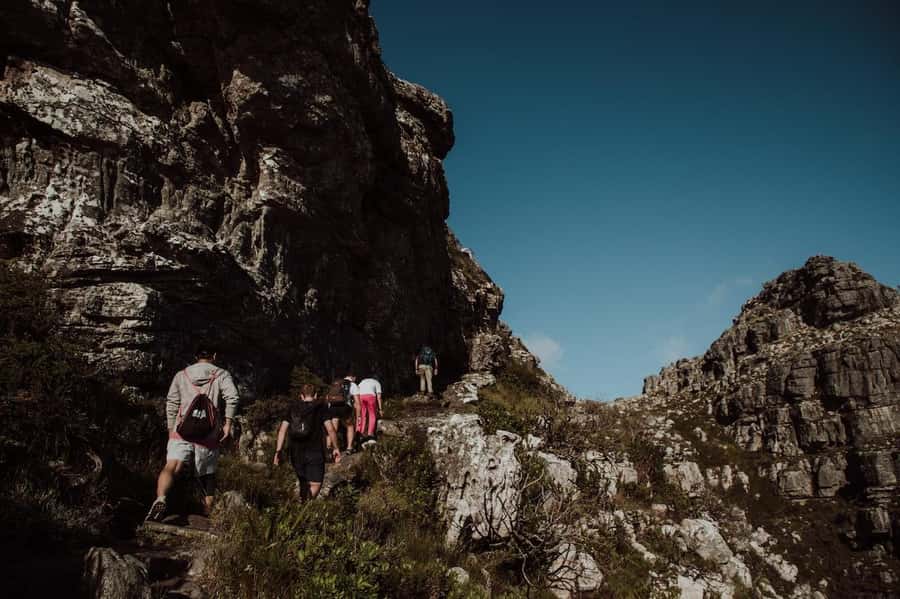 Cape Town: Table Mountain Hike with an Experienced Guide - Summit Views and Photo Stops That Actually Help You Get the Shot