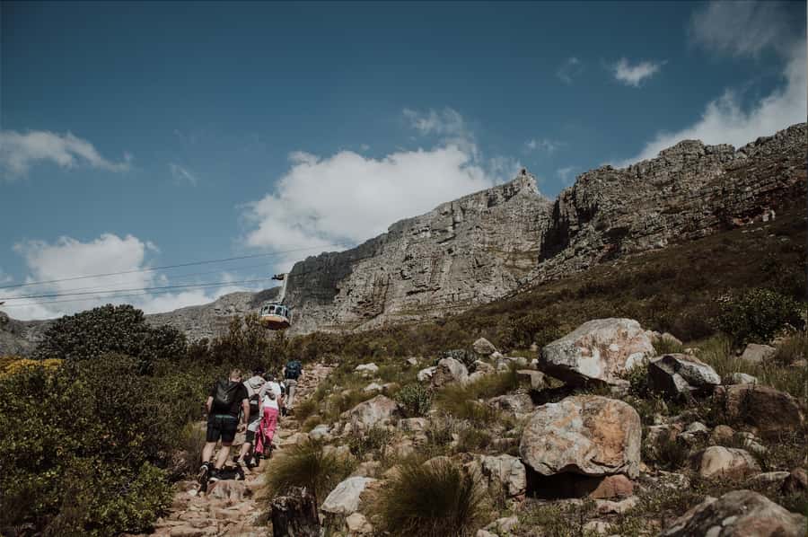Cape Town: Table Mountain Hike with an Experienced Guide - Pace Control, Breaks, and Route Adjustments So You Finish Strong