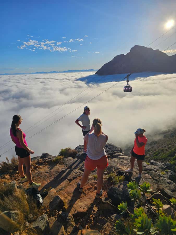 Cape Town: Table Mountain Hike with an Expert Guide - What to bring, what not to wear, and why the rules exist