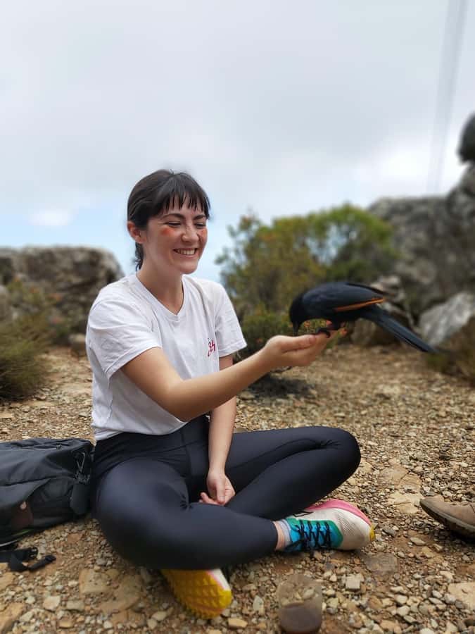 Cape Town: Table Mountain Hike with an Expert Guide - Why Table Mountain feels like a real adventure, not a stroll
