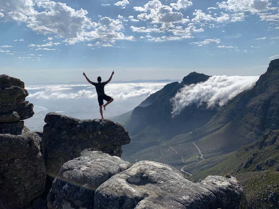Cape Town: Table Mountain Hike with an Expert Guide - Fynbos and wildlife: what you’ll learn and what you might spot