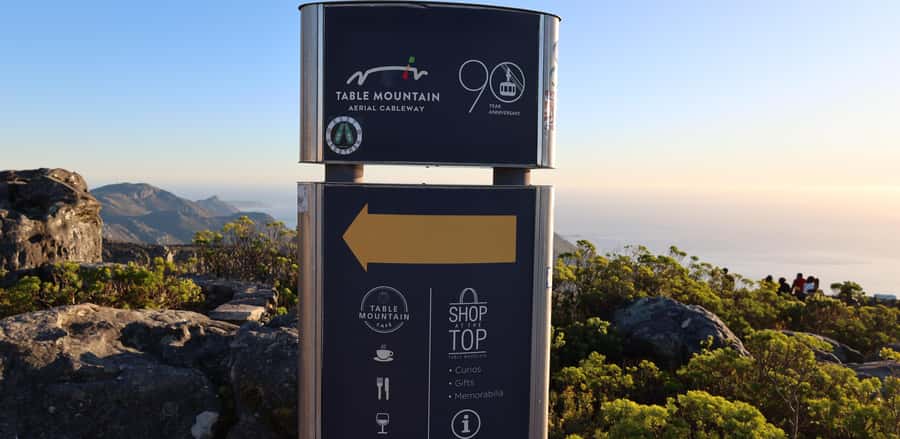 Cape Town: Table Mountain, Penguins & Cape Point Group Tour - Chapman’s Peak Drive: Atlantic cliffs with built-in photo breaks