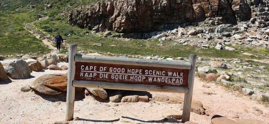 Cape Town: Table Mountain, Penguins & Cape Point Group Tour - Boulders Beach Penguin Colony: the kind of wildlife stop that feels real