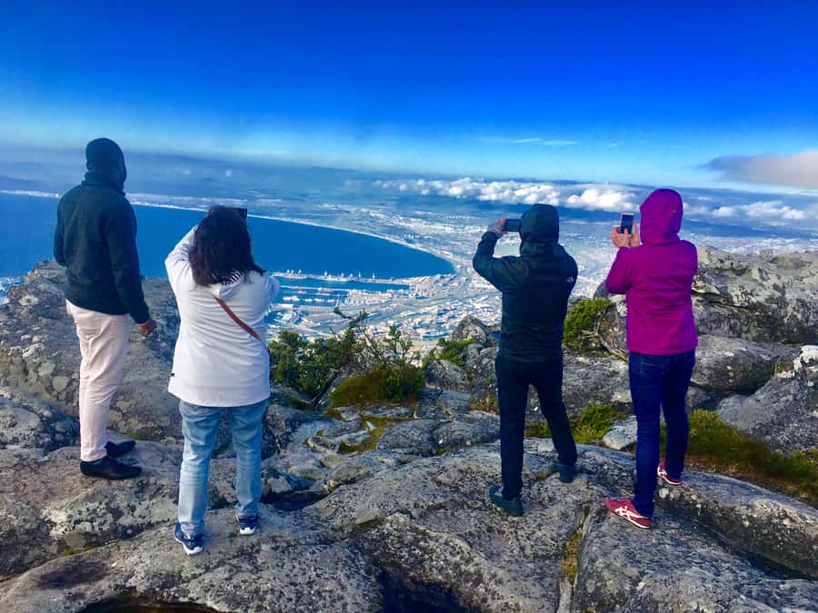 Cape Town: Table Mountain, Penguins & Cape Point Shared Tour - Key highlights you should not miss