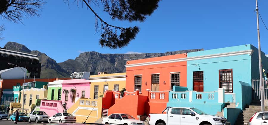 Cape Town: Tour Cape Point & Boulders Beach Penguin Day Trip - Hout Bay Harbour, optional Seal Colony cruise, and the flea market choice