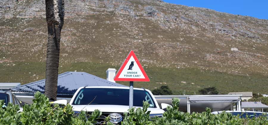 Cape Town: Tour Cape Point & Boulders Beach Penguin Day Trip - Cape of Good Hope Nature Reserve, the famous signboard moment