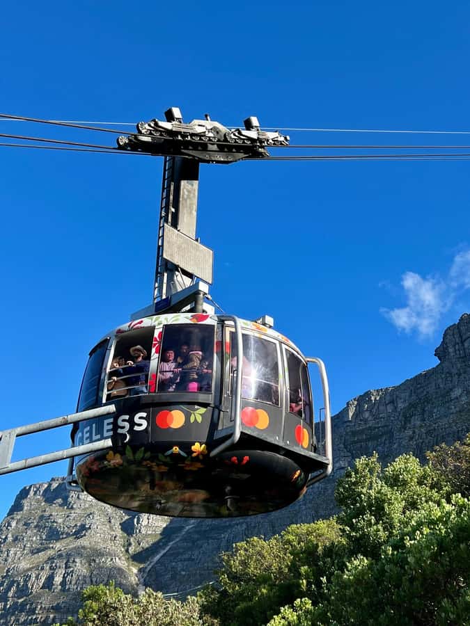 Cape Town Tour: Table Mountain, Penguins & Cape Point+Pickup - A full-day Cape Peninsula route that actually fits 10 hours
