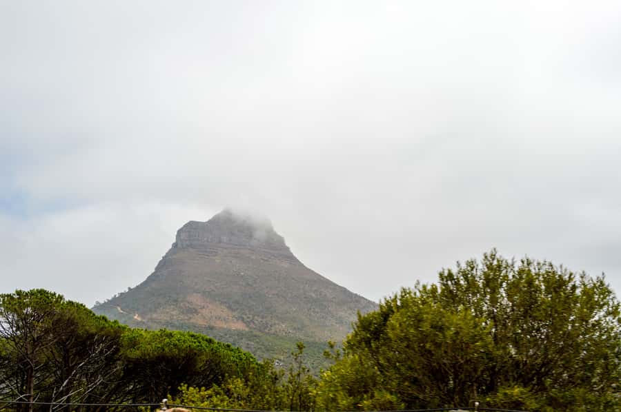Cape Town Uncovered : Half-Day City Tour and Table Mountain - Pickup, the air-conditioned van, and how the timing feels