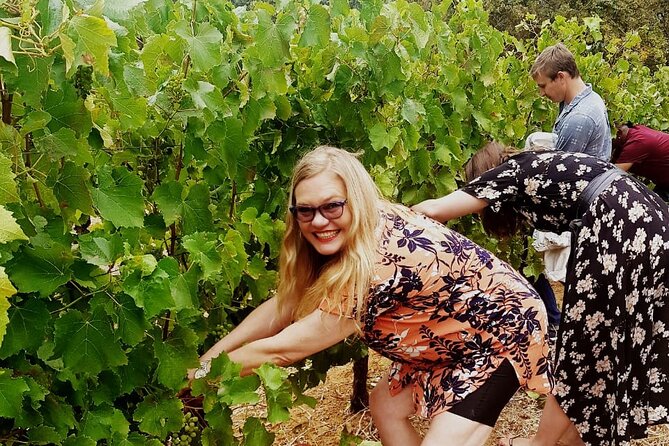 Cape town - Unique Private wine tour Blend & bottle own wine - How the day flows, from 09h00 pickup to bottle-in-hand