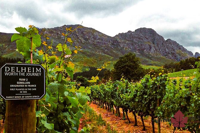 Cape town - Unique Private wine tour Blend & bottle own wine - Pick-up at 09h00 and the rhythm of a 7.5-hour private day