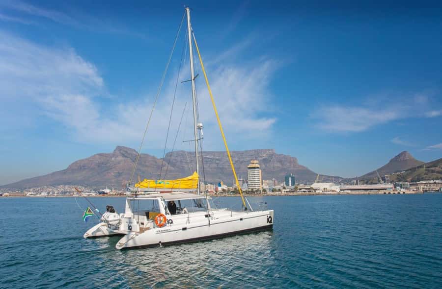 Cape Town: V&A Waterfront 1-Hour Scenic Cruise - Practical tips so your cruise day goes smoothly