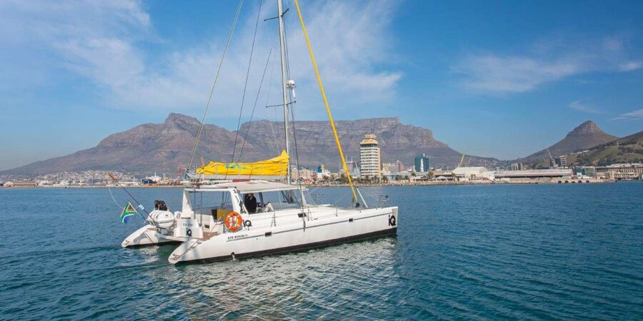 Cape Town: V&A Waterfront 1-Hour Scenic Cruise - The value question: is $27 for an hour a good deal?