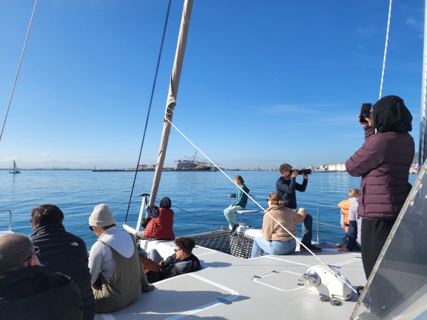 Cape Town: V&A Waterfront Gin Voyage Cruise - Marine life you might see: seals, dolphins, penguins, and whales