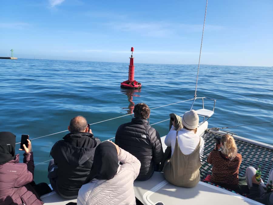 Cape Town: V&A Waterfront Gin Voyage Cruise - Price and value: what $37 buys you in a one-hour cruise