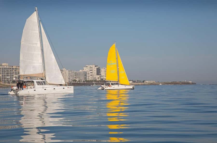 Cape Town: V&A Waterfront Gin Voyage Cruise - Who should book the Cape Town Gin Voyage, and who might prefer something else