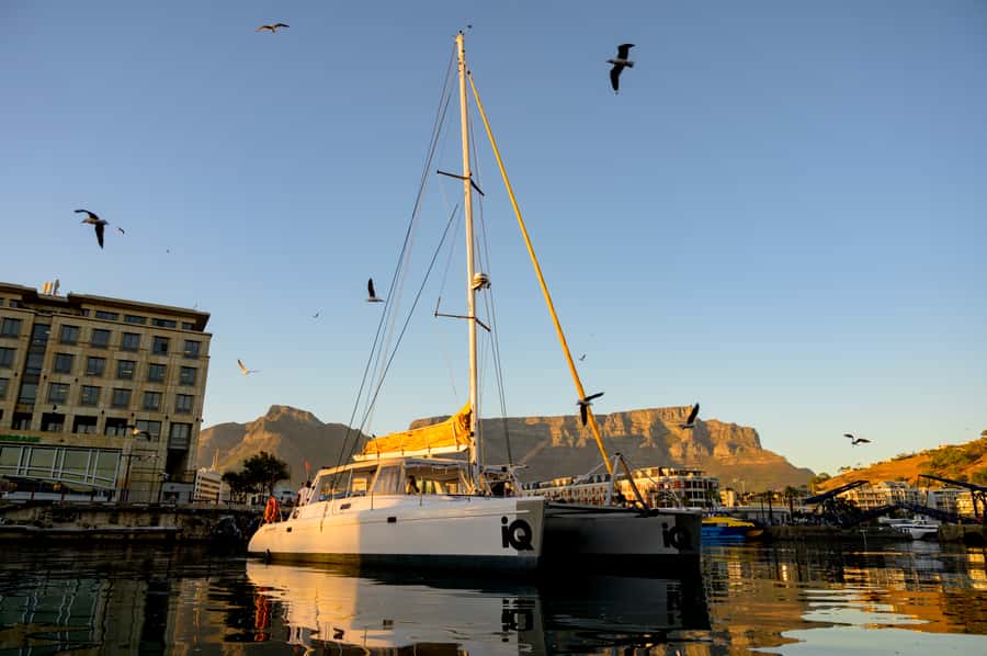 Cape Town: V&A Waterfront Gin Voyage Cruise - Finding IQ Catamaran at the V&A Waterfront (and arriving with a buffer)