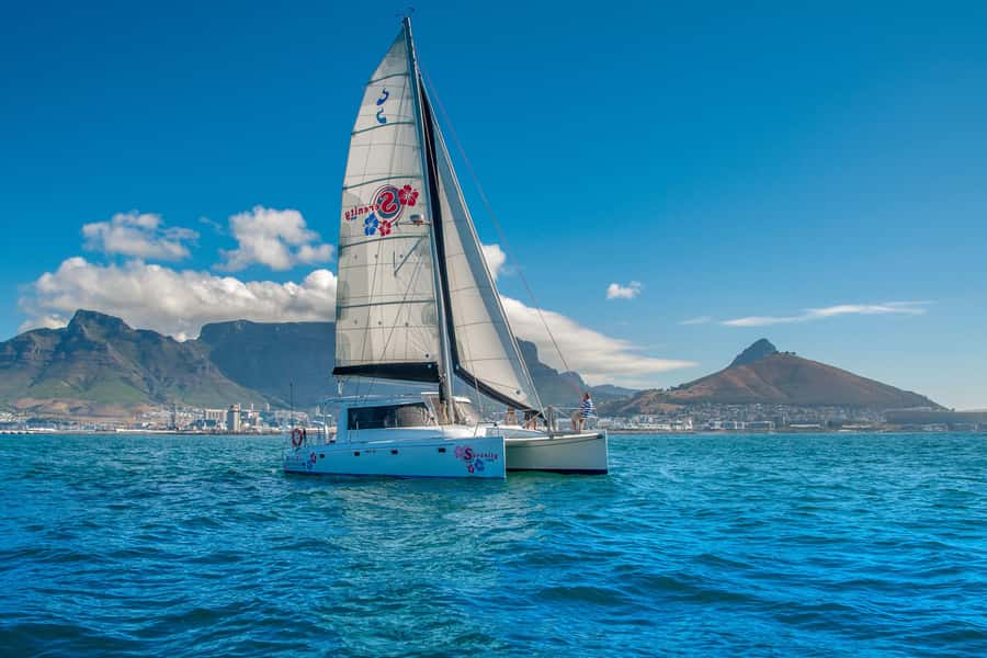 Cape Town Waterfront and Bay: Sailing Trip - Wildlife Sightings: Seals, Dolphins, and Surprise Encounters