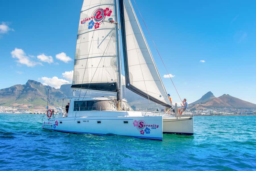 Cape Town Waterfront and Bay: Sailing Trip - Price and Value: Why $25 Can Make Sense Here