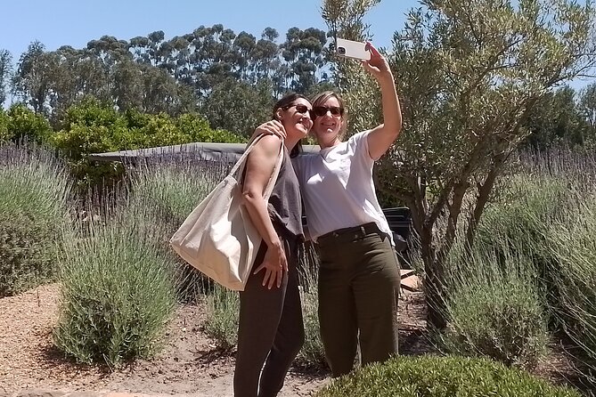 Cape Town Wine Tasting - Stellenbosch first: grapes, Méthode Cap Classique, and a real wine town