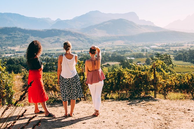 Cape Town Wine Tasting - Transportation and comfort details that actually matter