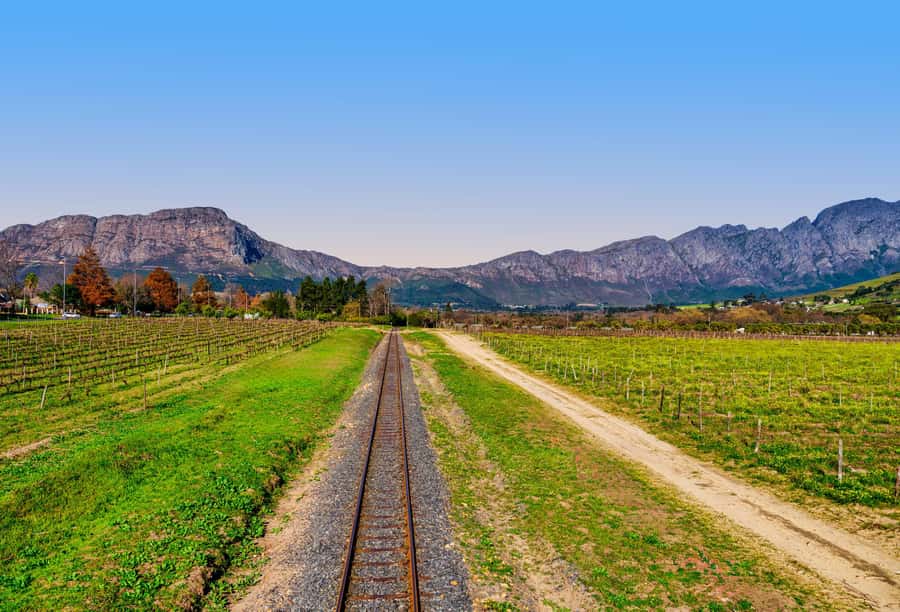 Cape Town: Wine Tram & Winelands Tour with Tastings & Pickup - The wine estates and pairings: what four tastings adds up to