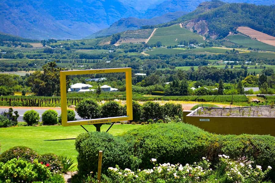 Cape Town: Wine Tram & Winelands Tour with Tastings & Pickup - Who this tour suits best, and who may want a different style