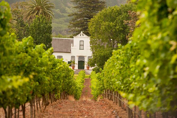 Cape Town: Winelands Private Half Day Tour - Price and value: is $131 per person reasonable for a private day?