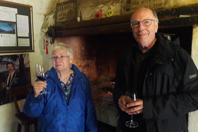 Cape Town: Winelands Private Half Day Tour - Practical tips so you enjoy the tastings, not just survive them