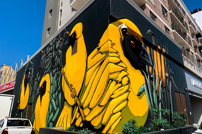 Cape Town Woodstock Street Art Walking Tour - What you’ll see on the mural route, and what to look for