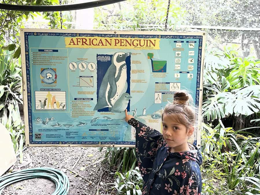 Cape Town: World of Birds & Animal Sanctuary - Monkey Jungle Encounters With Squirrel Monkeys