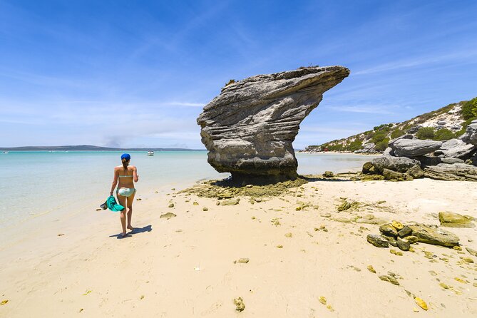 Cape West Coast Full Day Private Day Tour - West Coast Fossil Park: a science stop that stays fun