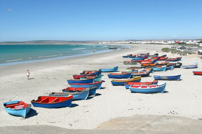Cape West Coast Full Day Private Day Tour - Darling stop for olive tasting: a small detour that becomes the best snack mission