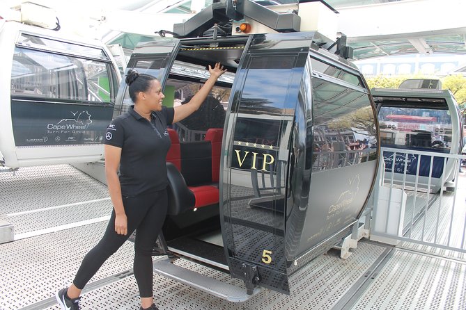 Cape Wheel Admission Ticket - Cape Wheel at the V&A Waterfront: the quick win for city views