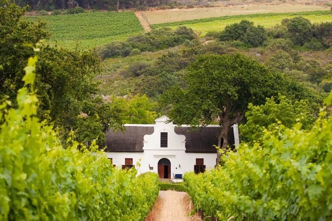 Cape Winelands and Wine Tasting Full Day Tour - Cape Winelands in One Day, With a Real Pickup