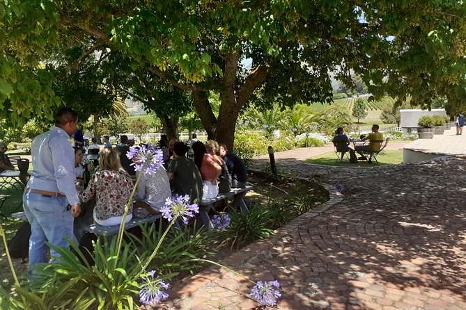 Cape Winelands and Wine Tasting Full Day Tour - Is This Truly Private, or More Like a Small-Group Day Trip?
