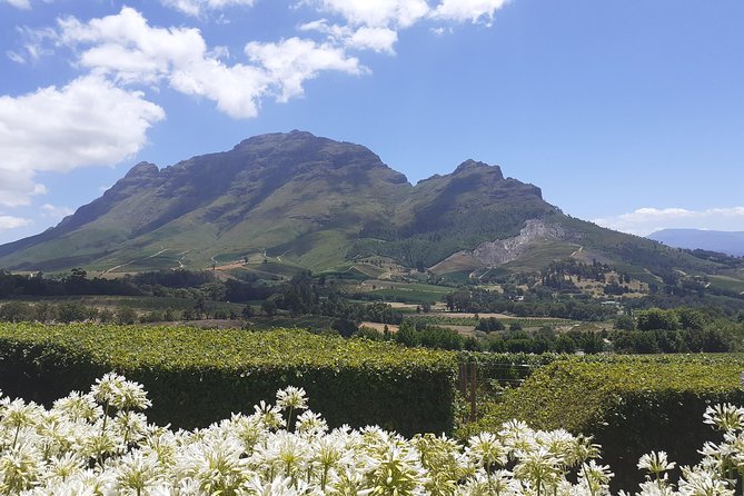 Cape Winelands and Wine Tasting Full Day Tour - Stop 1: Fairview Wine and Cheese in the Paarl Valley
