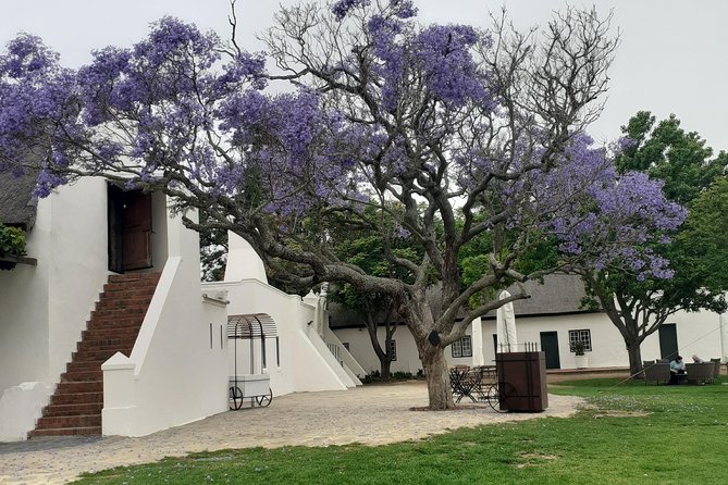 Cape Winelands and Wine Tasting Full Day Tour - Franschhoek Town Stop: Walkable Charm and Food-Driven Energy