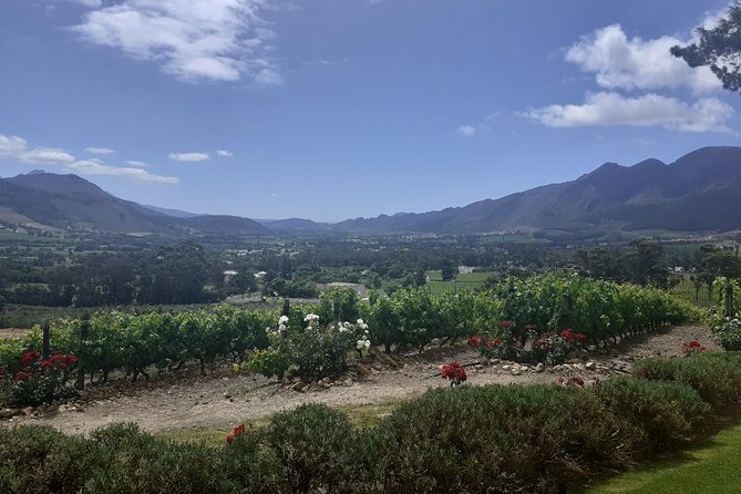 Cape Winelands and Wine Tasting Full Day Tour - Stop 4: Marianne Wine Estate in Stellenbosch (Personal Naming, Practical Pairing)