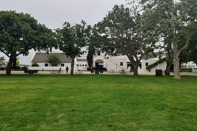 Cape Winelands and Wine Tasting Full Day Tour - Stop 5: Stellenbosch Town Time, Including Church Street Vibes