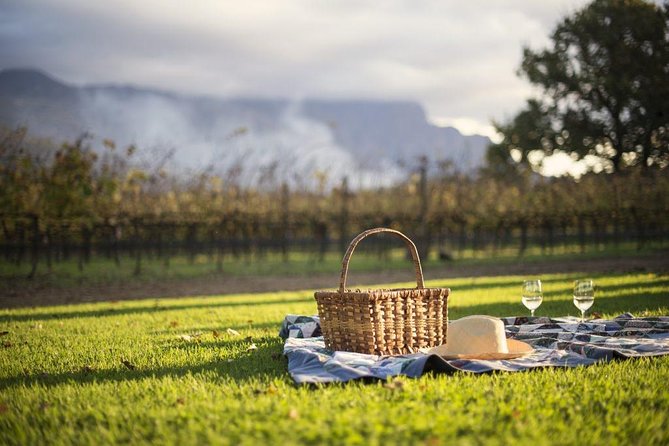 Cape Winelands Explore Full Day Tour with Private Transfer - Price and Value: What You Pay $241.56 Per Person For