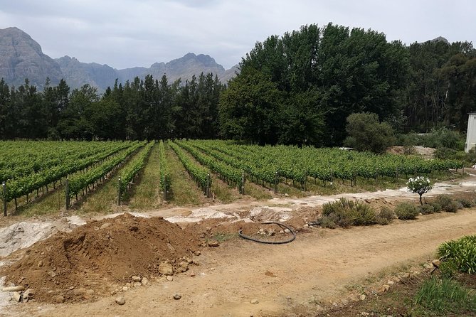 Cape Winelands Stellenbosch Franschhoek Paarl Tour from Cape Town - Setting out from Cape Town at 09:30, with a schedule that actually works