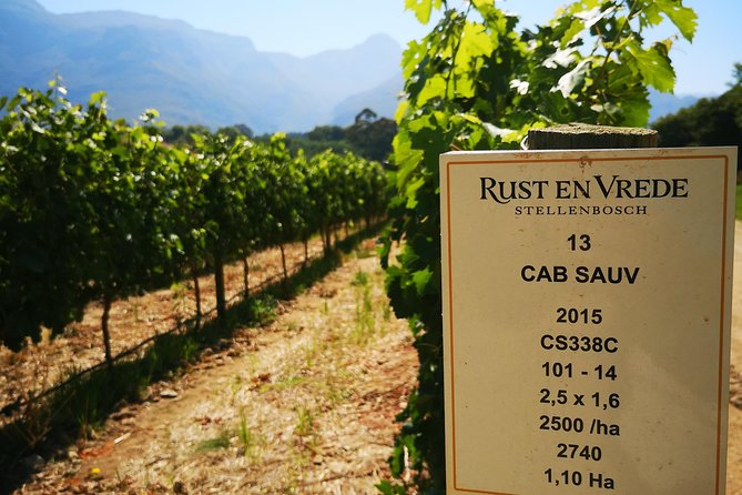 Cape Winelands Stellenbosch Franschhoek Paarl Tour from Cape Town - How to get more from wine and cheese tastings (without overdoing it)