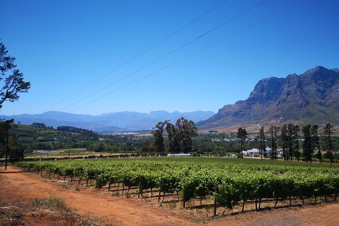 Cape Winelands Stellenbosch Franschhoek Paarl Tour from Cape Town - Price and value: what you are really paying for at $112.07